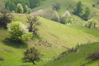 Екскурсія в Трахтемирів та Бучак. Фото: Ніна Ліщук, Дмитро Гілітуха (studway.com.ua) Екскурсія в Трахтемирів та Бучак. Фото: Ніна Ліщук, Дмитро Гілітуха (studway.com.ua)